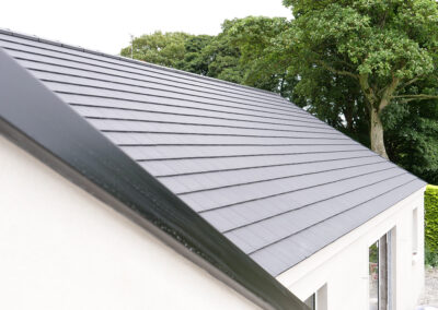 Banbridge Roof View 1