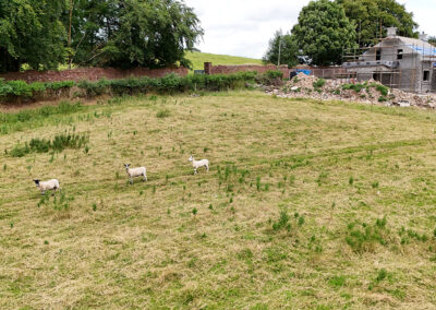 Drummand Road Cookstown Construction View 14